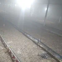 فروش مرغداری