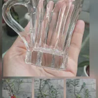 لیوان چای خوری