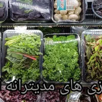 میوه استوایی|خوردنی و آشامیدنی|مشهد, فتح المبین|دیوار