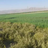 زمین کشاورزی کمربندی اهرم