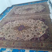 فرش دستباف|فرش|سلماس, |دیوار