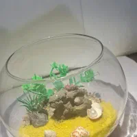 تنگ های تزئینی