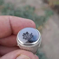 شجر شیشه ای قائن