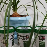 قرص کود ارگانیک|گل و گیاه طبیعی|ابهر, |دیوار