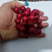 تسبیح درشت مرجان