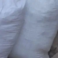 کود گوسفندی