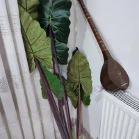 گل باباادم مصنوعی