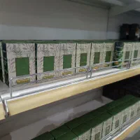 روغن مورینگا