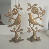 یک جفت جوجه برنجی