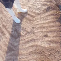 کاهگل|خدمات پیشه و مهارت|گرمسار, |دیوار