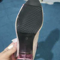 کفش مجلسی|کیف، کفش، کمربند|قم, نوقطار|دیوار