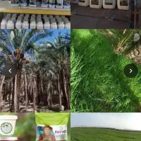 نمایندگی فروش کود هیومیک اسید کروا افزایش تناژ