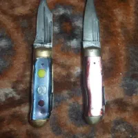 ۲عددعشایه گونه سنگین وزن