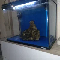 آکواریم شرکتی ماهیران شیشه خم