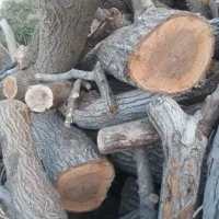 خرید چوب