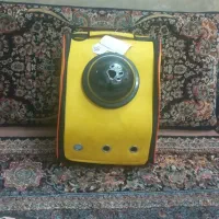 کیف حمل سگ نو|لوازم جانبی حیوانات|مشهد, محمدآباد|دیوار