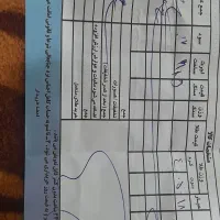 النگو اصلا استفاده نشده کاملا نو|جواهرات|تربت جام, والفجر|دیوار