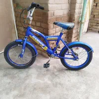 دو عدد دوچرخه