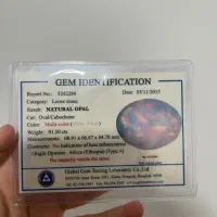 دو عدد اپال طبیعی اتیوپی با شناسنامه معتبر GGTL