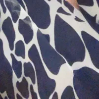 ۲ عدد پیراهن در حد نو سایز ۴۲-۴۴|لباس|تبریز, |دیوار