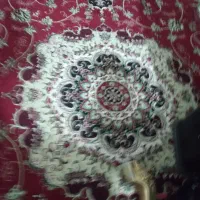 فرش ۱۲ متری|فرش|قم, شهر قائم|دیوار