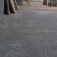 سگ ژرمن