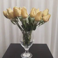 رز خارجی