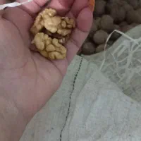 گردو ایرانی ( یلدایی)محلی منطقه فیروزکوه زرین دشت|خوردنی و آشامیدنی|فیروزکوه, |دیوار