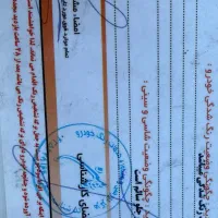 ۲۰۶ تیپ۲بیرنگ|خودرو سواری و وانت|تهران, بنی‌هاشم|دیوار