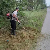 علف تراشی و چمن زنی و قطع انواع درخت|خدمات باغبانی و درختکاری|سرخرود, |دیوار