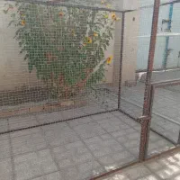 قفس پرنده