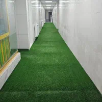 اجاره تایم سالن فوتسال والیبال بسکتبال بدنسازی و..|ورزش‌های توپی|تبریز, |دیوار