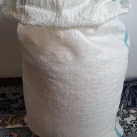 تخم کدو|خوردنی و آشامیدنی|خان ببین, |دیوار