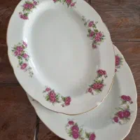 6عدد دیس گل سرخی