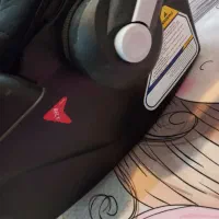 کریردلیجان