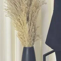 گلدان|صنایع دستی و سایر لوازم تزئینی|مشهد, آبکوه|دیوار