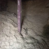 کاه برای فروش