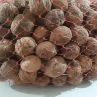 گردو مغز سفید پر چرب کوهستان گری دو و چهارصد