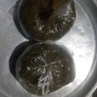 سبزی خورشتی سرخ شده|خوردنی و آشامیدنی|قم, پردیسان|دیوار