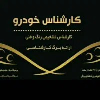 اپتیما*کیا/کارشناس تشخیص رنگ خودرو یوسف آباد|خدمات موتور و ماشین|تهران, تجریش|دیوار
