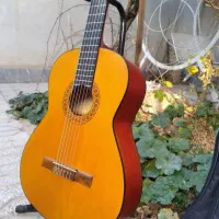 گیتار نو و کارکرد با کیف هدیه