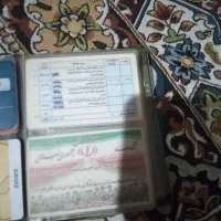 مدارک گمشده مسافر|اشیا|زابل, |دیوار