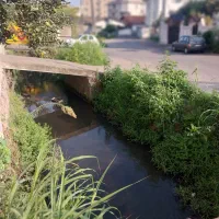 فروش آپارتمان ۶۸متری۱خواب فردوسی