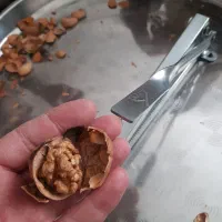 هسته شکن هیلدا|ظروف پختوپز|بیجار, |دیوار