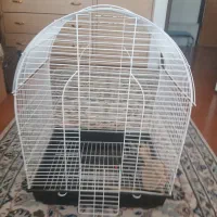 قفس عروس هلندی