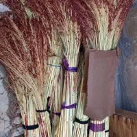 جارو گال