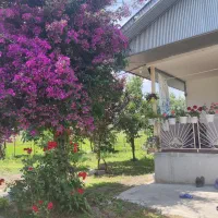 اجاره ویلا خونه باغ