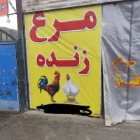 قفس آهنی سبد مرغی،فروشی|فروشگاه و مغازه|محمدشهر, علی آباد گونه|دیوار