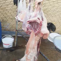 سلام گوشت فروشی|خوردنی و آشامیدنی|مسجد سلیمان, |دیوار