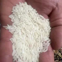 برنج هاشمی درجه یک